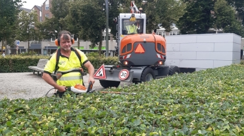 Het snoeien van hagen is weer begonnen