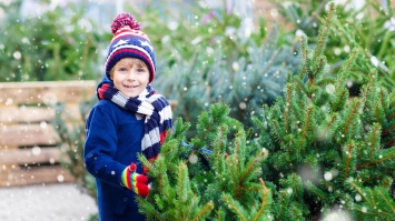 Kerstbomenactie 2026